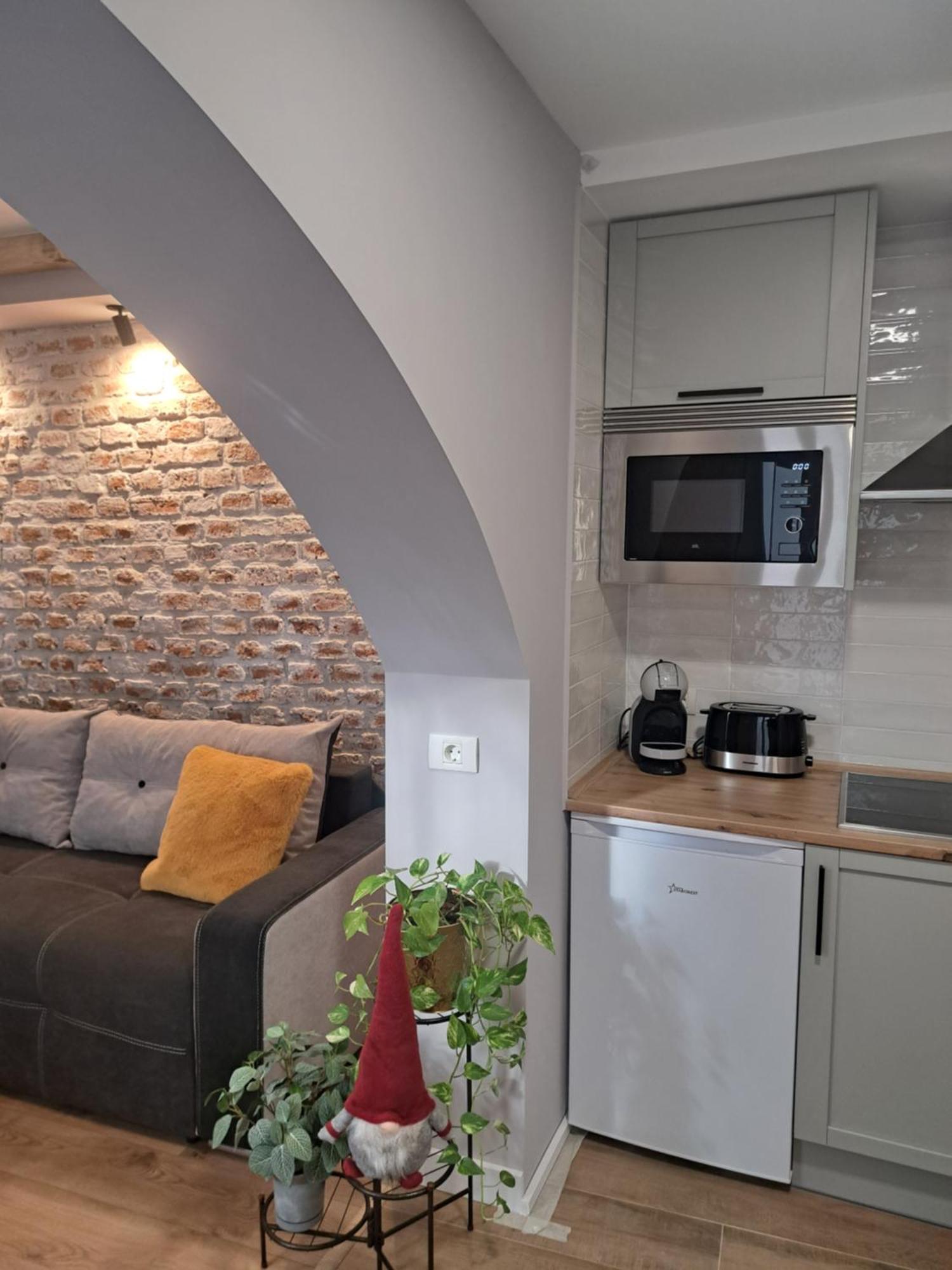 Appartement Casa Ileana Centrul Vechi Braşov Extérieur photo