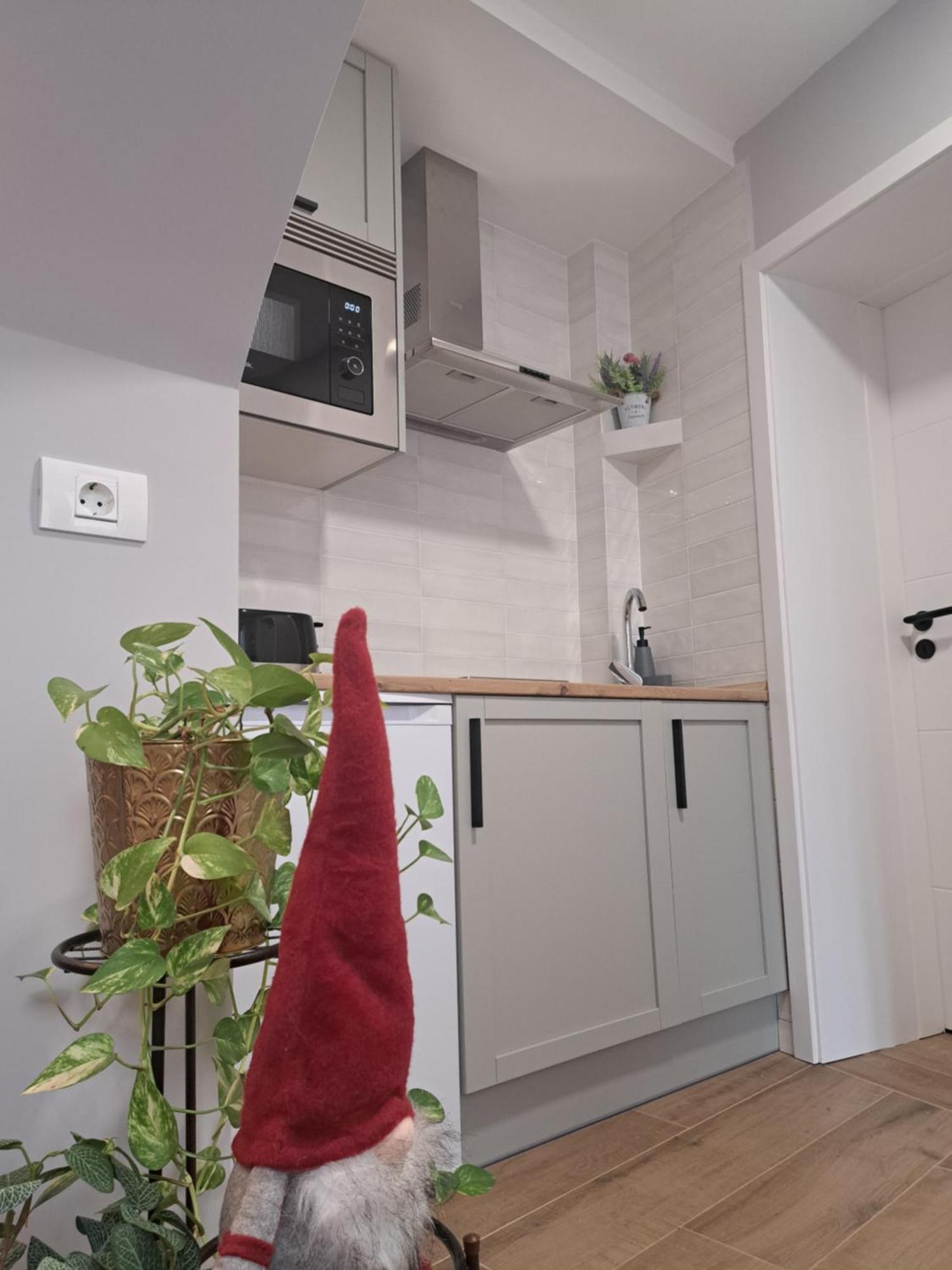 Appartement Casa Ileana Centrul Vechi Braşov Extérieur photo